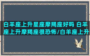 白羊座上升星座摩羯座好吗 白羊座上升摩羯座很恐怖/白羊座上升星座摩羯座好吗 白羊座上升摩羯座很恐怖-我的网站